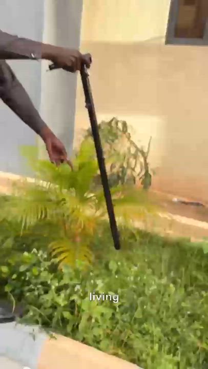 A group of Computer Engineering students from Ahmadu Bello University, Zaria developed an electronic...