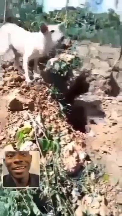 REV GOODIDEA. LAUGH 😂 SMALL 

The Hunter, the Meat, and the Dog 🐕.

Watch this video and let me kn...