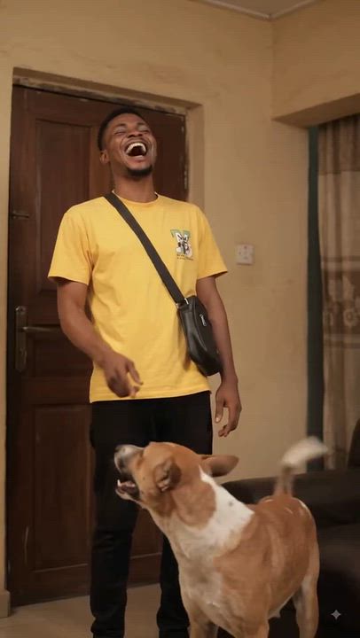 THE DOG AND FOOD