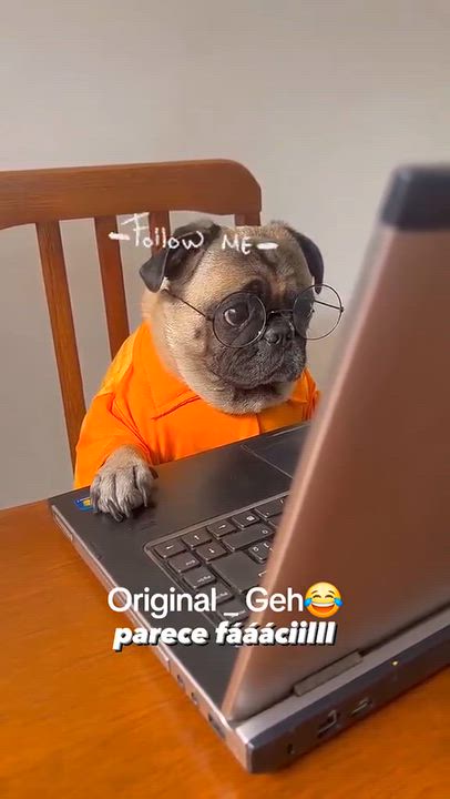 Just do this and you will be Happy again,
Why not follow this page let's grow together 
#LekeeLekee...