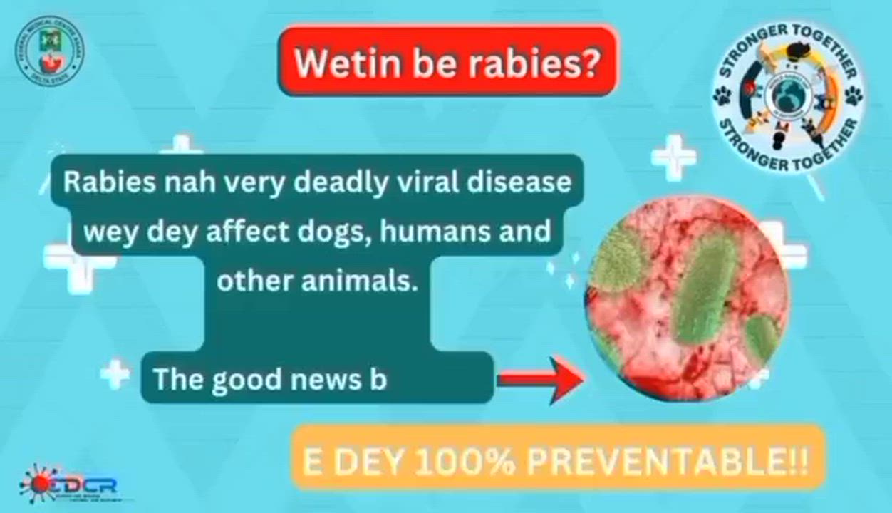 What is rabies, causes and prevention and treatments of rabies

The key message is: Rabies is preven...