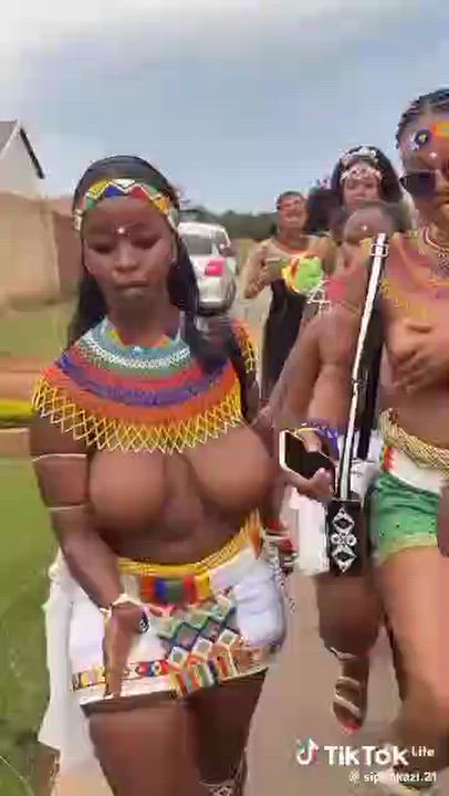 Tradition law vibes