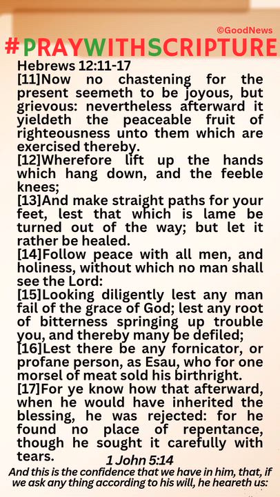 #PrayWithScriptureTodaysBibleReading 
Hebrews 12:11-17
[11]Now no chastening for the present seemeth...