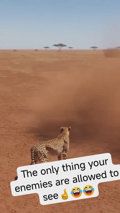 I have watched this video more than 20x in just 2mins 🤣🤣