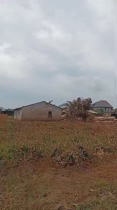 ELEME LGA ISSUES URGENT SAFETY ADVISORY FOLLOWING REPORTED OIL SPILL IN ALETO

‎The attention of the...